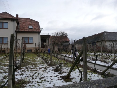 Klikněte pro zobrazení původního (velkého) obrázku