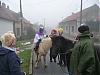 trikralova_sbirka_2015_ujezdec_26.JPG