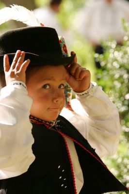 Klikněte pro zobrazení původního (velkého) obrázku