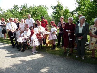 Klikněte pro zobrazení původního (velkého) obrázku