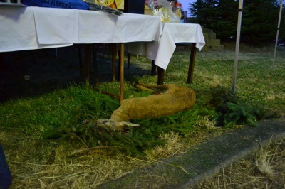 Klikněte pro zobrazení původního (velkého) obrázku