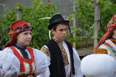 Klikněte pro zobrazení původního (velkého) obrázku