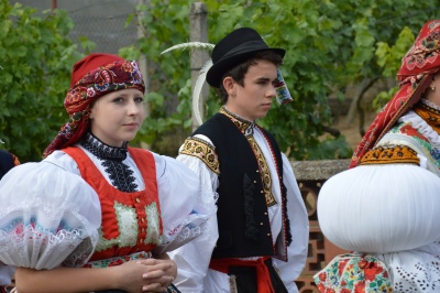 Klikněte pro zobrazení původního (velkého) obrázku