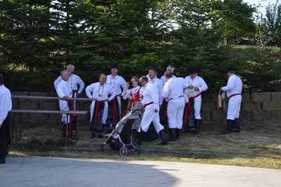 Klikněte pro zobrazení původního (velkého) obrázku