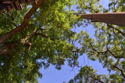 Klikněte pro zobrazení původního (velkého) obrázku