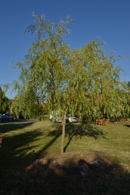 Klikněte pro zobrazení původního (velkého) obrázku