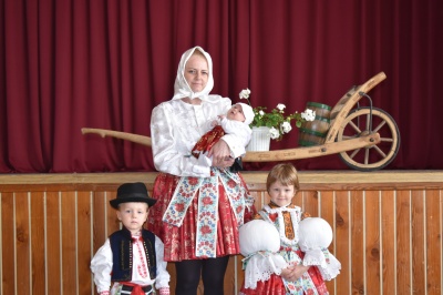 Klikněte pro zobrazení původního (velkého) obrázku