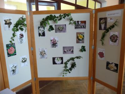 Klikněte pro zobrazení původního (velkého) obrázku