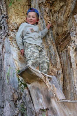Klikněte pro zobrazení původního (velkého) obrázku