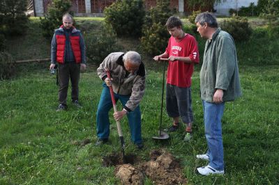 Klikněte pro zobrazení původního (velkého) obrázku