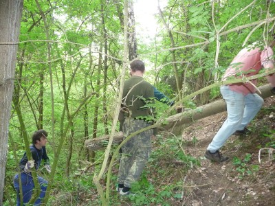 Klikněte pro zobrazení původního (velkého) obrázku