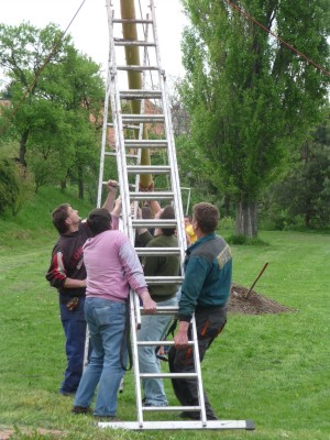 Klikněte pro zobrazení původního (velkého) obrázku