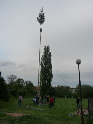 Klikněte pro zobrazení původního (velkého) obrázku