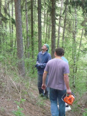 Klikněte pro zobrazení původního (velkého) obrázku