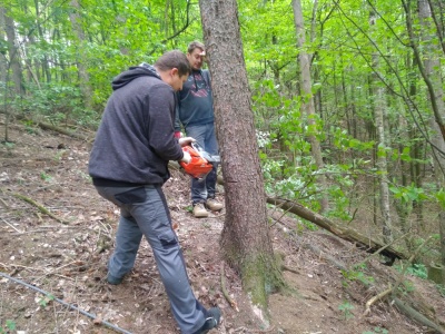 Klikněte pro zobrazení původního (velkého) obrázku