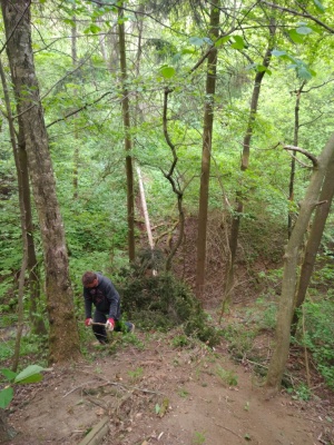 Klikněte pro zobrazení původního (velkého) obrázku