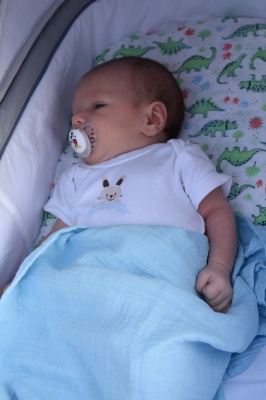 Klikněte pro zobrazení původního (velkého) obrázku