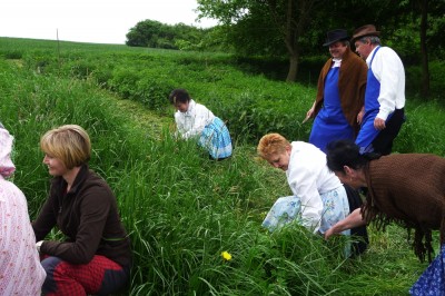 Klikněte pro zobrazení původního (velkého) obrázku