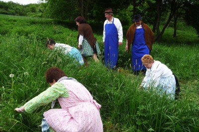 Klikněte pro zobrazení původního (velkého) obrázku
