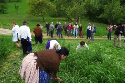 Klikněte pro zobrazení původního (velkého) obrázku