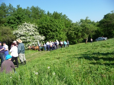 Klikněte pro zobrazení původního (velkého) obrázku