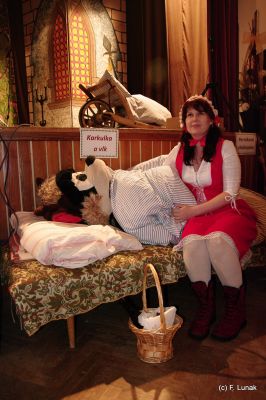 Klikněte pro zobrazení původního (velkého) obrázku