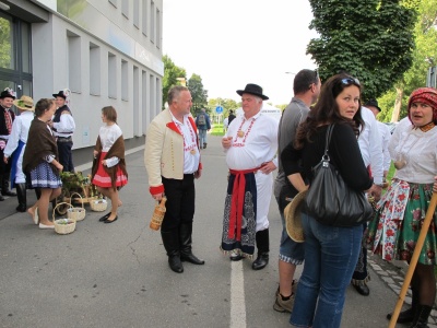 Klikněte pro zobrazení původního (velkého) obrázku