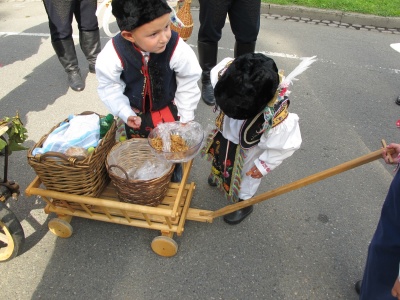 Klikněte pro zobrazení původního (velkého) obrázku