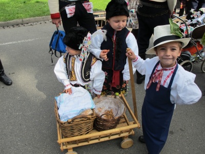 Klikněte pro zobrazení původního (velkého) obrázku