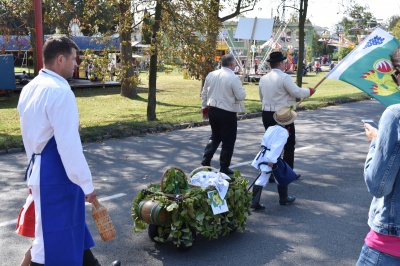 Klikněte pro zobrazení původního (velkého) obrázku