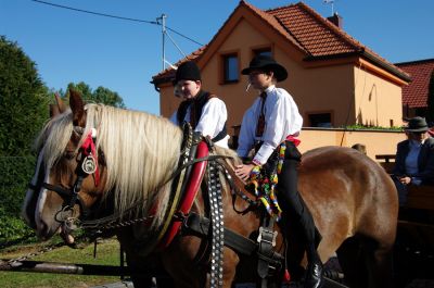 Klikněte pro zobrazení původního (velkého) obrázku