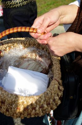 Klikněte pro zobrazení původního (velkého) obrázku