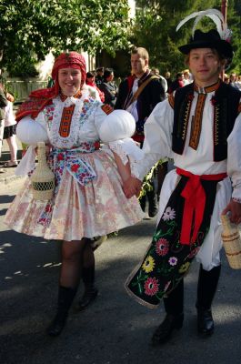 Klikněte pro zobrazení původního (velkého) obrázku